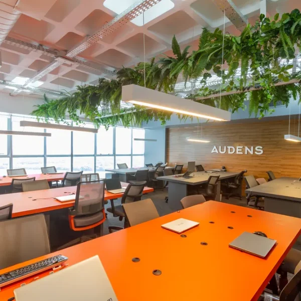 Audens-7